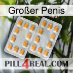 Großer Penis cialis4